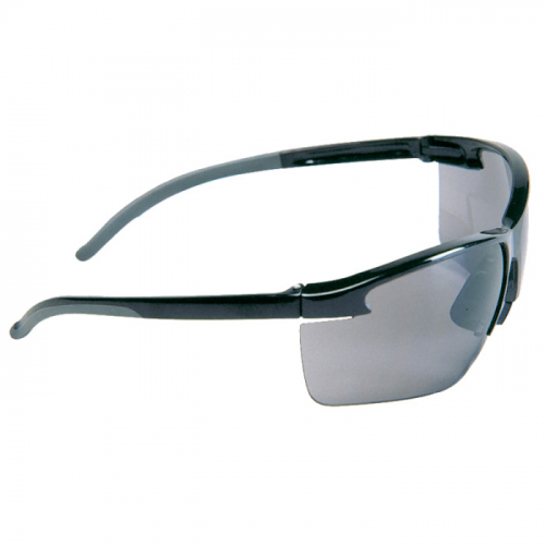 MSA 10033719, Pyrenees Spectacles, Gray, Outdoor, Anti-Fog