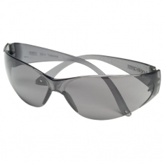 MSA 697515, Arctic Spectacles, Gray, Outdoor