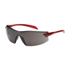PIP 250-45-1021, RADAR, GRY LENS, AS/AF, RED BAYONET TEMPLES, RUBBER PADS, CSA